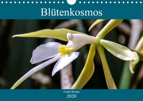 Blütenkosmos (Wandkalender 2020 DIN A4 quer) von Brehm - frankolor.de,  Frank