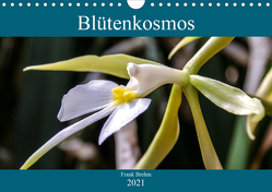 Blütenkosmos (Wandkalender 2021 DIN A4 quer) von Brehm - frankolor.de,  Frank