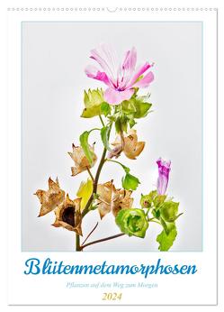 Blütenmetamorphosen (Wandkalender 2024 DIN A2 hoch), CALVENDO Monatskalender von Stenner,  Clemens