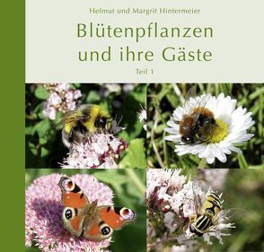 Blütenpflanzen und ihre Gäste (Teil 1) von Hintermeier,  Helmut, Hintermeier,  Margrit