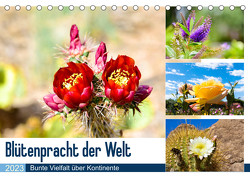 Blütenpracht aus aller Welt (Tischkalender 2023 DIN A5 quer) von Koch,  Monika