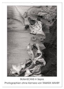 BlütenScans in Sepia, Photographien ohne Kamera von Tamara Wahby (Wandkalender 2024 DIN A2 hoch), CALVENDO Monatskalender von Wahby,  Tamara