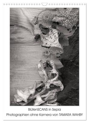 BlütenScans in Sepia, Photographien ohne Kamera von Tamara Wahby (Wandkalender 2024 DIN A3 hoch), CALVENDO Monatskalender von Wahby,  Tamara