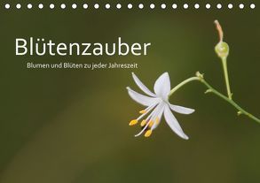 Blütenzauber – Blumen und Blüten zu jeder Jahreszeit (Tischkalender 2019 DIN A5 quer) von Nerlich,  Cornelia