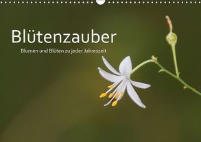 Blütenzauber – Blumen und Blüten zu jeder Jahreszeit (Wandkalender 2019 DIN A3 quer) von Nerlich,  Cornelia