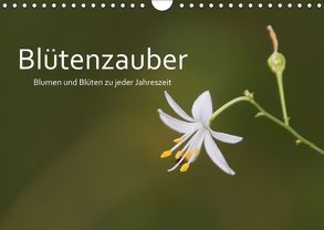 Blütenzauber – Blumen und Blüten zu jeder Jahreszeit (Wandkalender 2019 DIN A4 quer) von Nerlich,  Cornelia