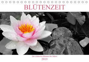 BLÜTENZEIT – Die schönsten Blumen des Jahres (Tischkalender 2019 DIN A5 quer) von Henri,  Chris