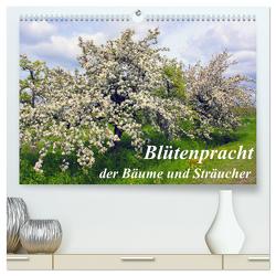 Blütezeit der Bäume und Sträucher (hochwertiger Premium Wandkalender 2024 DIN A2 quer), Kunstdruck in Hochglanz von Reupert,  Lothar