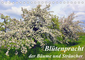 Blütezeit der Bäume und Sträucher (Tischkalender 2023 DIN A5 quer) von Reupert,  Lothar
