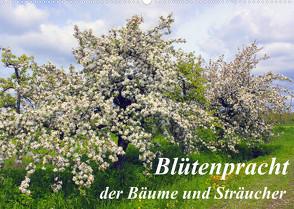Blütezeit der Bäume und Sträucher (Wandkalender 2022 DIN A2 quer) von Reupert,  Lothar