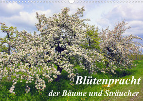 Blütezeit der Bäume und Sträucher (Wandkalender 2022 DIN A3 quer) von Reupert,  Lothar