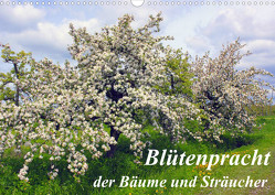 Blütezeit der Bäume und Sträucher (Wandkalender 2023 DIN A3 quer) von Reupert,  Lothar