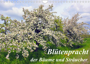 Blütezeit der Bäume und Sträucher (Wandkalender 2023 DIN A4 quer) von Reupert,  Lothar