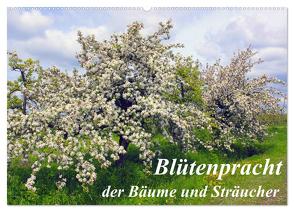 Blütezeit der Bäume und Sträucher (Wandkalender 2024 DIN A2 quer), CALVENDO Monatskalender von Reupert,  Lothar