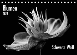 Blumen 2023, Schwarz-Weiß (Tischkalender 2023 DIN A5 quer) von Wurster,  Beate