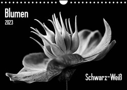 Blumen 2023, Schwarz-Weiß (Wandkalender 2023 DIN A4 quer) von Wurster,  Beate