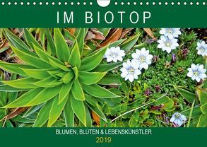 Blumen, Blüten, Lebenskünstler: Im Biotop (Wandkalender 2019 DIN A4 quer) von CALVENDO