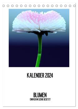 BLUMEN EINFACH IN SZENE GESETZT (Tischkalender 2024 DIN A5 hoch), CALVENDO Monatskalender von Jeschke,  Susanne