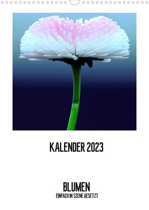 BLUMEN EINFACH IN SZENE GESETZT (Wandkalender 2023 DIN A3 hoch) von Jeschke,  Susanne