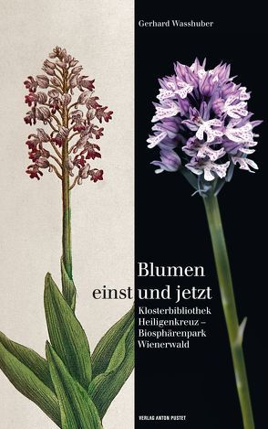 Blumen einst und jetzt von Wasshuber,  Gerhard
