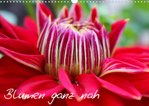 Blumen ganz nah (Wandkalender 2023 DIN A3 quer) von Kalemi,  Elena