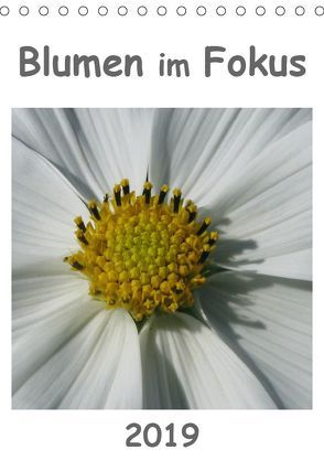 Blumen im Fokus (Tischkalender 2019 DIN A5 hoch) von Schilling und Michael Wlotzka,  Linda