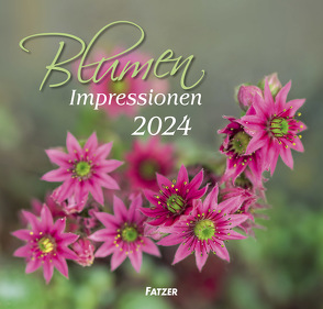 Blumen Impressionen 2024