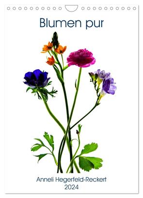 Blumen pur (Wandkalender 2024 DIN A4 hoch), CALVENDO Monatskalender von Hegerfeld-Reckert,  Anneli