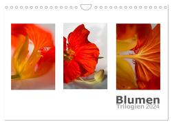 Blumen Trilogien (Wandkalender 2024 DIN A4 quer), CALVENDO Monatskalender von calmbacher,  Christiane