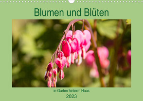 Blumen und Blüten im Garten hinterm Haus (Wandkalender 2023 DIN A3 quer) von Laage,  Elke