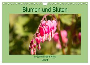 Blumen und Blüten im Garten hinterm Haus (Wandkalender 2024 DIN A4 quer), CALVENDO Monatskalender von Laage,  Elke