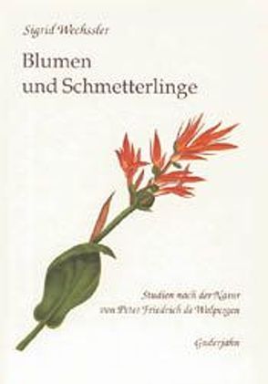 Blumen und Schmetterlinge von Drös,  Rainer, Maier,  Eva M, Senghas,  Karlheinz, Wechssler,  Sigrid