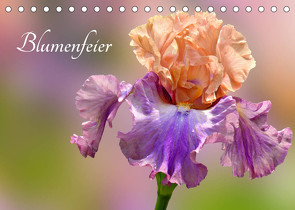 Blumenfeier (Tischkalender 2023 DIN A5 quer) von Livingvisions