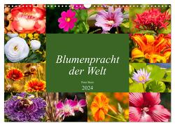 Blumenpracht der Welt (Wandkalender 2024 DIN A3 quer), CALVENDO Monatskalender von Baier,  Peter