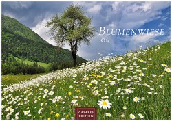 Blumenwiese 2024 S 24x35cm