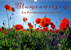 Blumenwiesen – ein blütenzauberhaftes Jahr (Wandkalender 2021 DIN A3 quer) von Roder,  Peter