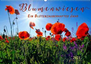Blumenwiesen – ein blütenzauberhaftes Jahr (Wandkalender 2023 DIN A2 quer) von Roder,  Peter
