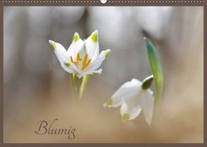 Blumig (Wandkalender 2018 DIN A2 quer) von Flori0