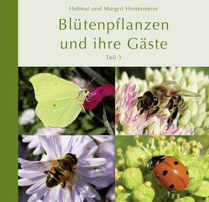 Blütenpflanzen und ihre Gäste (Teil 3) von Hintermeier,  Helmut, Hintermeier,  Margrit