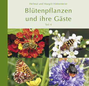 Blütenpflanzen und ihre Gäste (Teil 4) von Hintermeier,  Helmut, Hintermeier,  Margrit