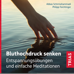 Bluthochdruck senken von Feichtinger,  Philipp, Schirmohammadi,  Abbas