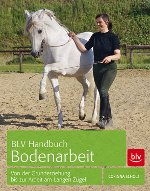 BLV Handbuch Bodenarbeit von Scholz,  Corinna