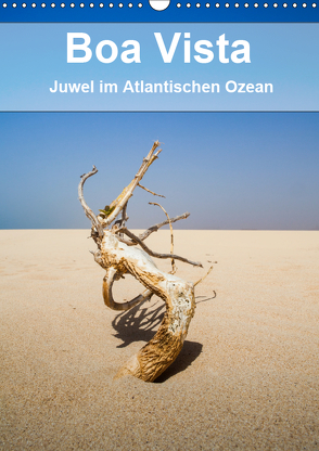 Boa Vista – Juwel im Atlantischen Ozean (Wandkalender 2019 DIN A3 hoch) von Reuke,  Sabine