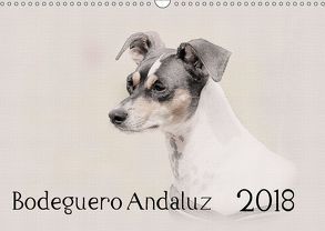 Bodeguero Andaluz 2018 (Wandkalender 2018 DIN A3 quer) von Redecker,  Andrea