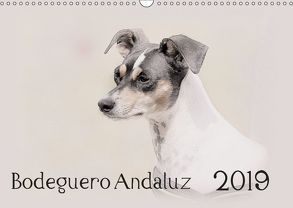 Bodeguero Andaluz 2019 (Wandkalender 2019 DIN A3 quer) von Redecker,  Andrea