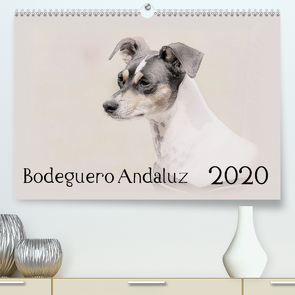 Bodeguero Andaluz 2020 (Premium, hochwertiger DIN A2 Wandkalender 2020, Kunstdruck in Hochglanz) von Redecker,  Andrea