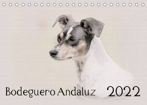 Bodeguero Andaluz 2022 (Tischkalender 2022 DIN A5 quer) von Redecker,  Andrea