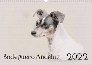 Bodeguero Andaluz 2022 (Wandkalender 2022 DIN A3 quer) von Redecker,  Andrea