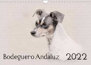 Bodeguero Andaluz 2022 (Wandkalender 2022 DIN A4 quer) von Redecker,  Andrea