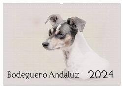 Bodeguero Andaluz 2024 (Wandkalender 2024 DIN A2 quer), CALVENDO Monatskalender von Redecker,  Andrea